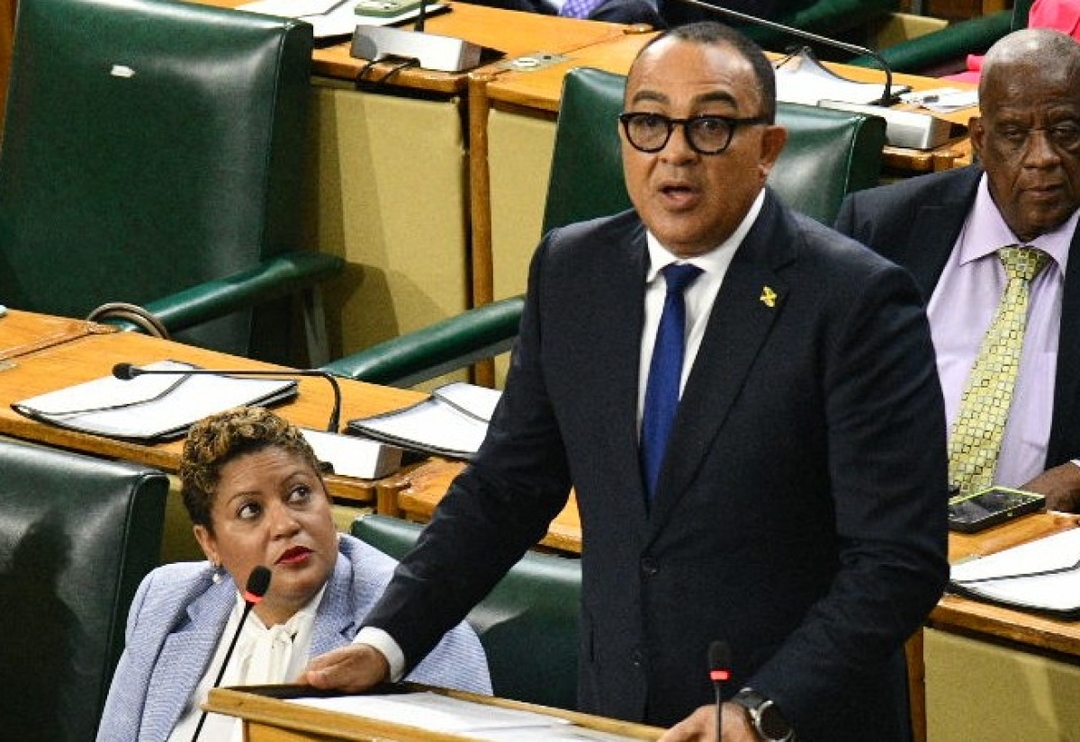 HMHW Parliament