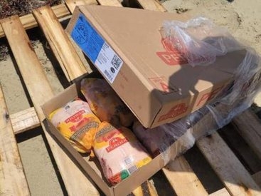 bad_chicken.jpg__488x275_q85_subsampling-2
