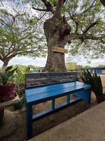 bench_in_the_garden.jpg__488x275_q85_subsampling-2