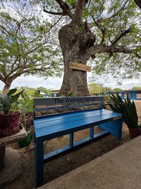 bench_in_the_garden.jpg__488x275_q85_subsampling-2